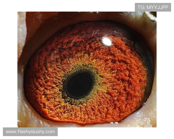 AG国际中国官网官方平台详细介绍包括注册流程、充值方式及安全保障措施全方位解析